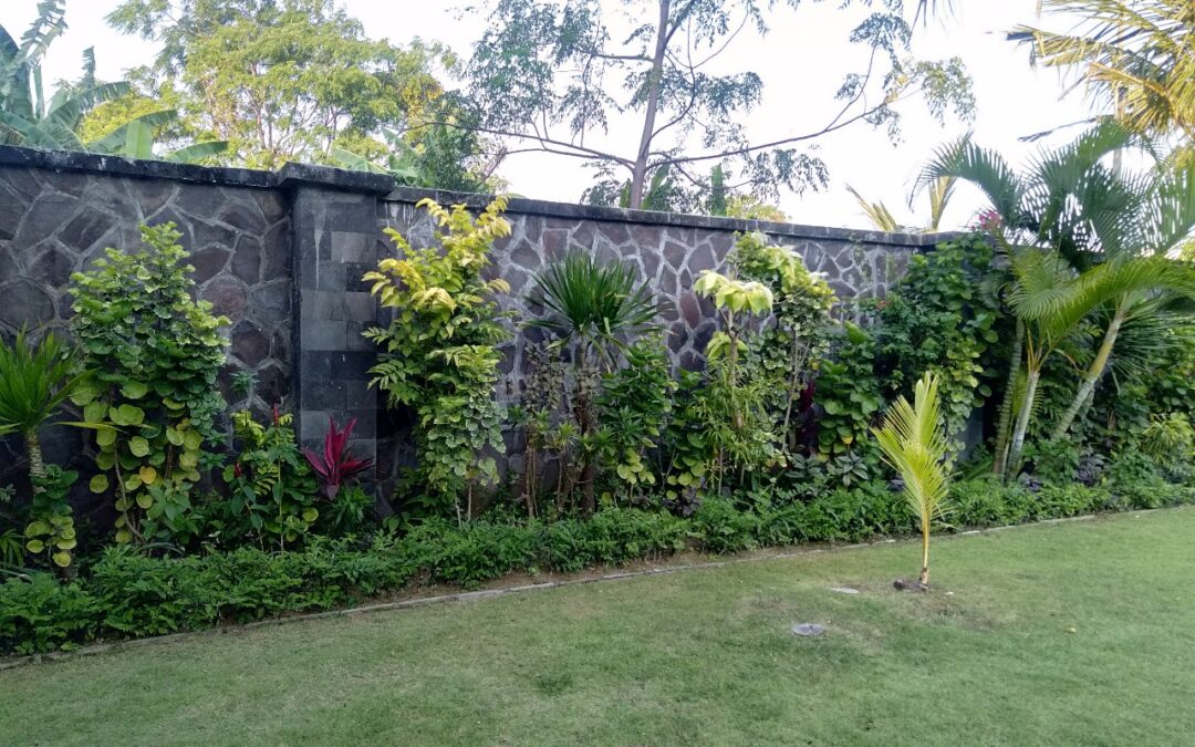 Exterior Wall Stones Ideas in Brisbane