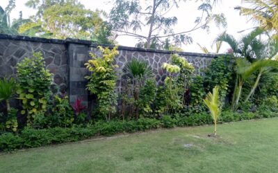Amazing Exterior Wall Stones Ideas in Brisbane for a Modern Look