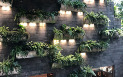Lava Stone, A Timeless Material for Architecture and Design