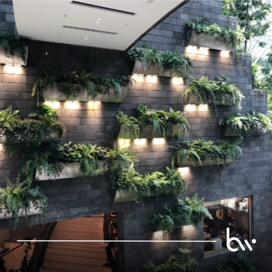 Lava Stone, A Timeless Material for Architecture and Design